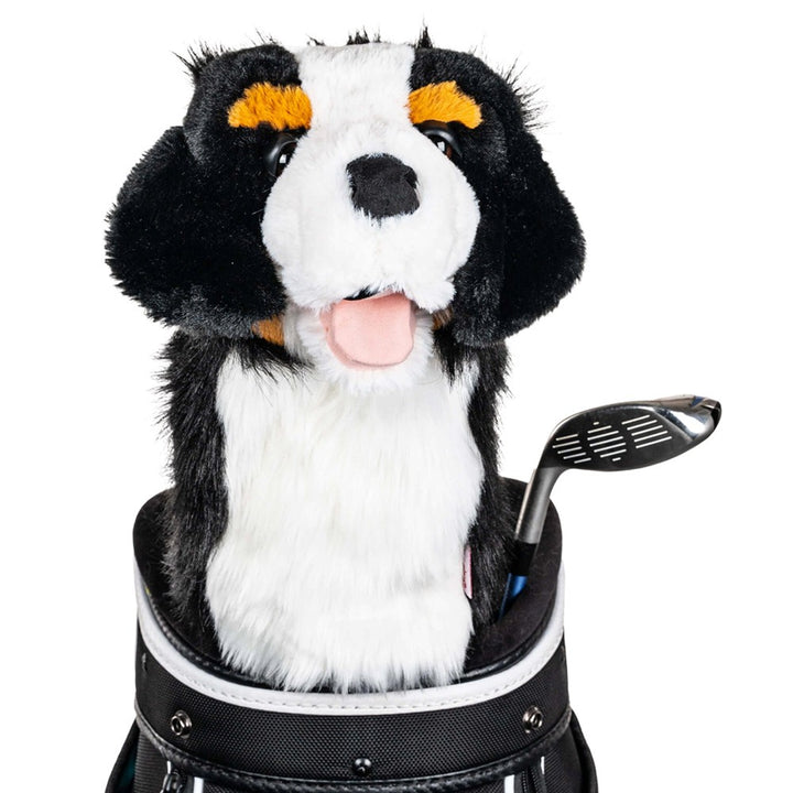 Daphne's Headcovers Driver 2024