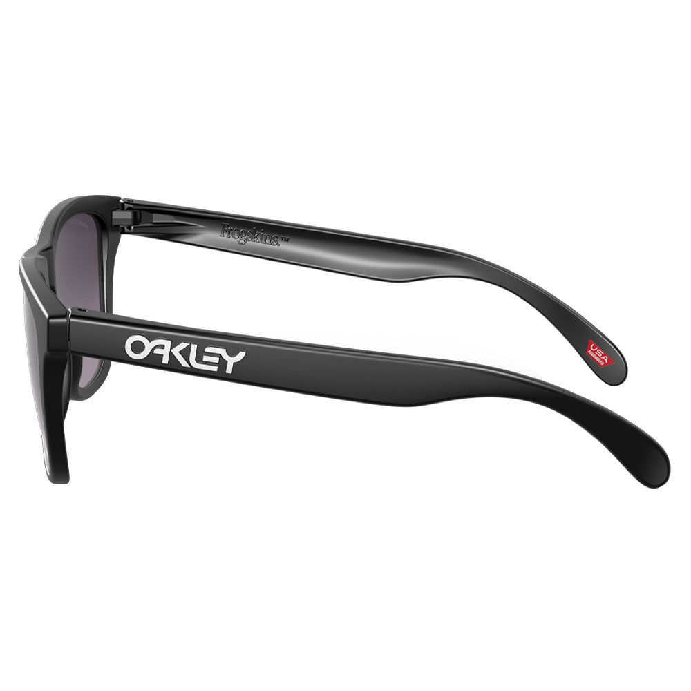 Oakley Frogskins Sunglasses