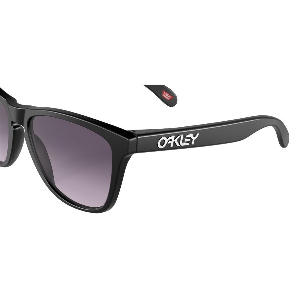 Oakley Frogskins Sunglasses