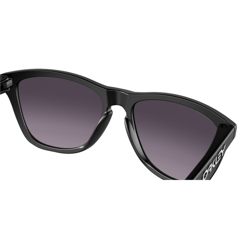 Oakley Frogskins Sunglasses