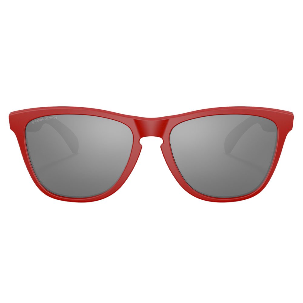 Oakley Frogskins Sunglasses