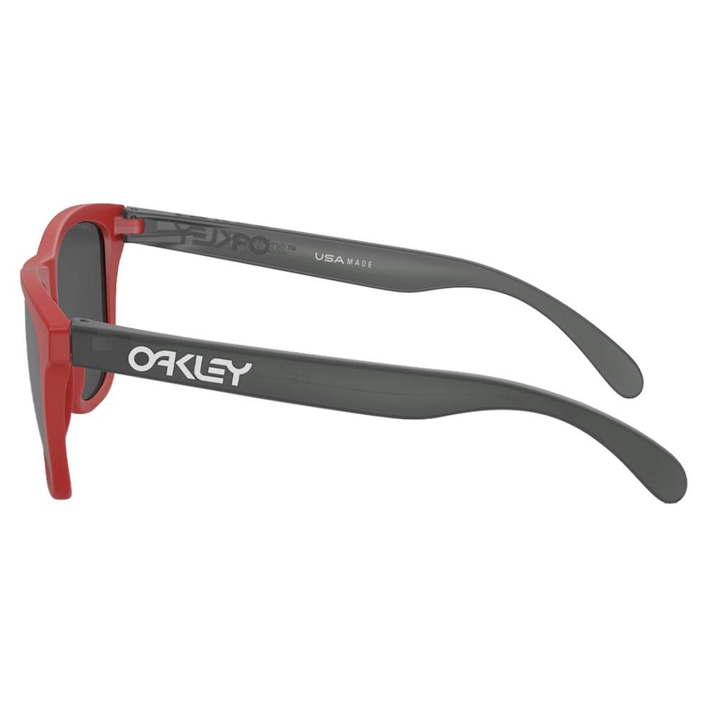 Oakley Frogskins Sunglasses