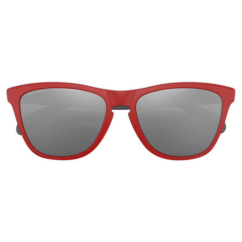 Oakley Frogskins Sunglasses