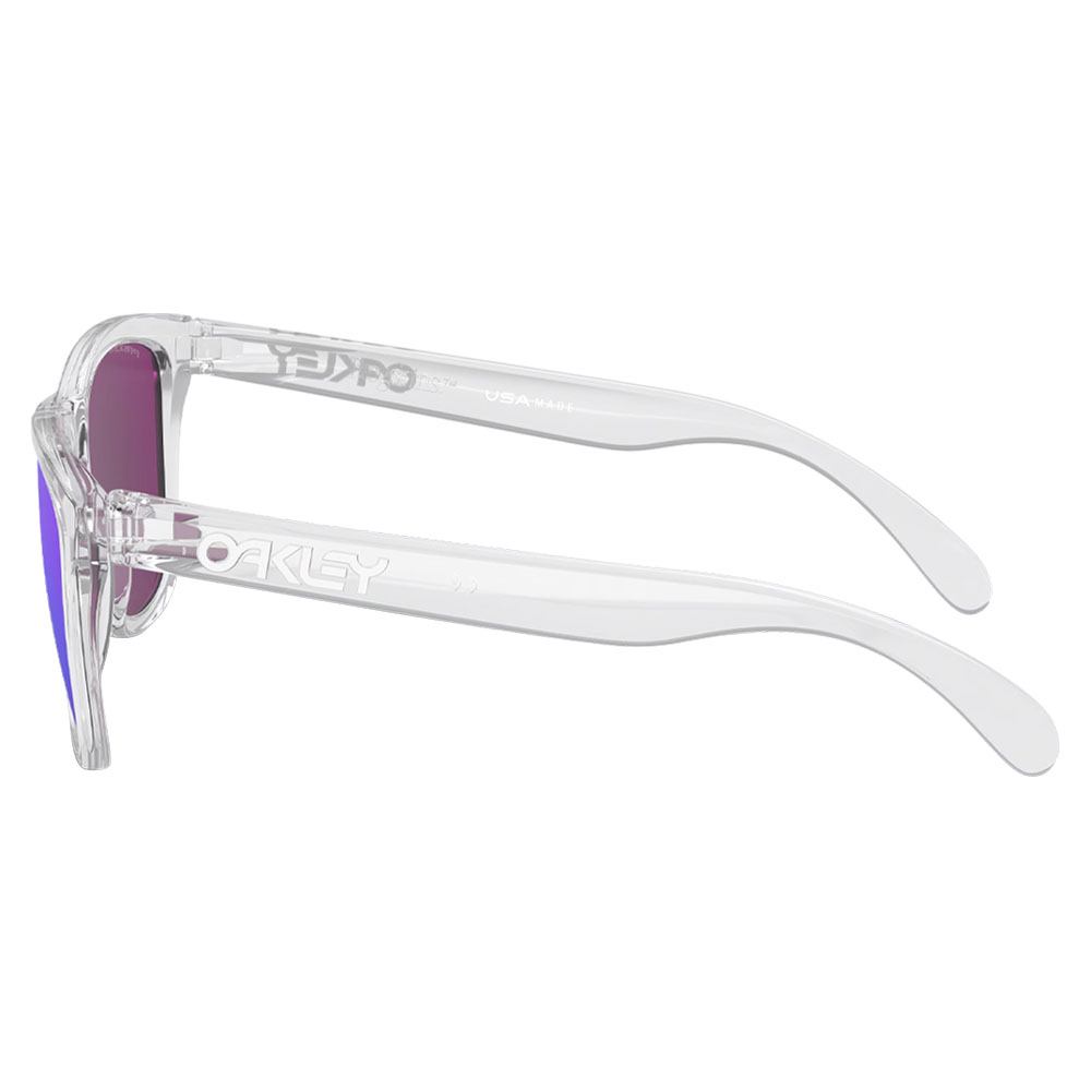 Oakley Frogskins Sunglasses
