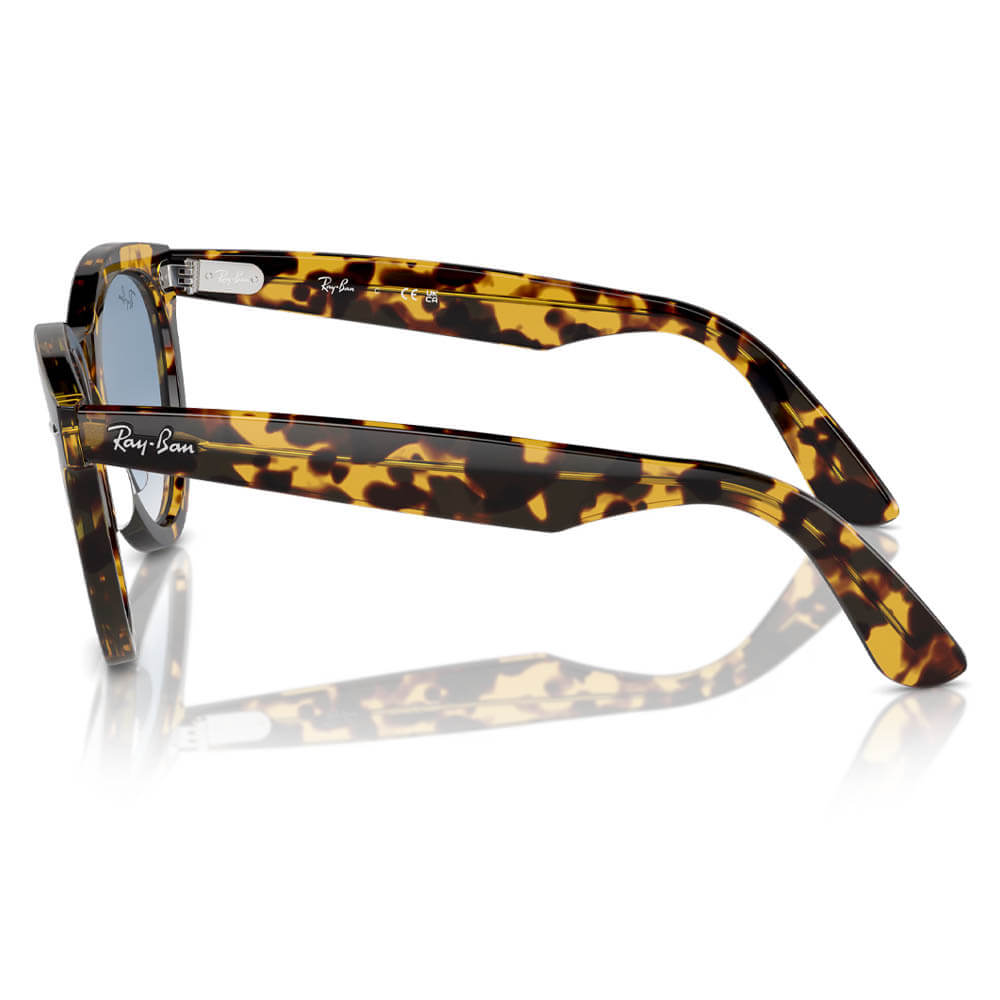 Ray-Ban Wayfarer Way Sunglasses