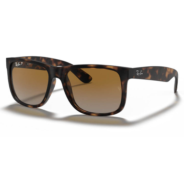 Ray-Ban Justin Classic Sunglasses