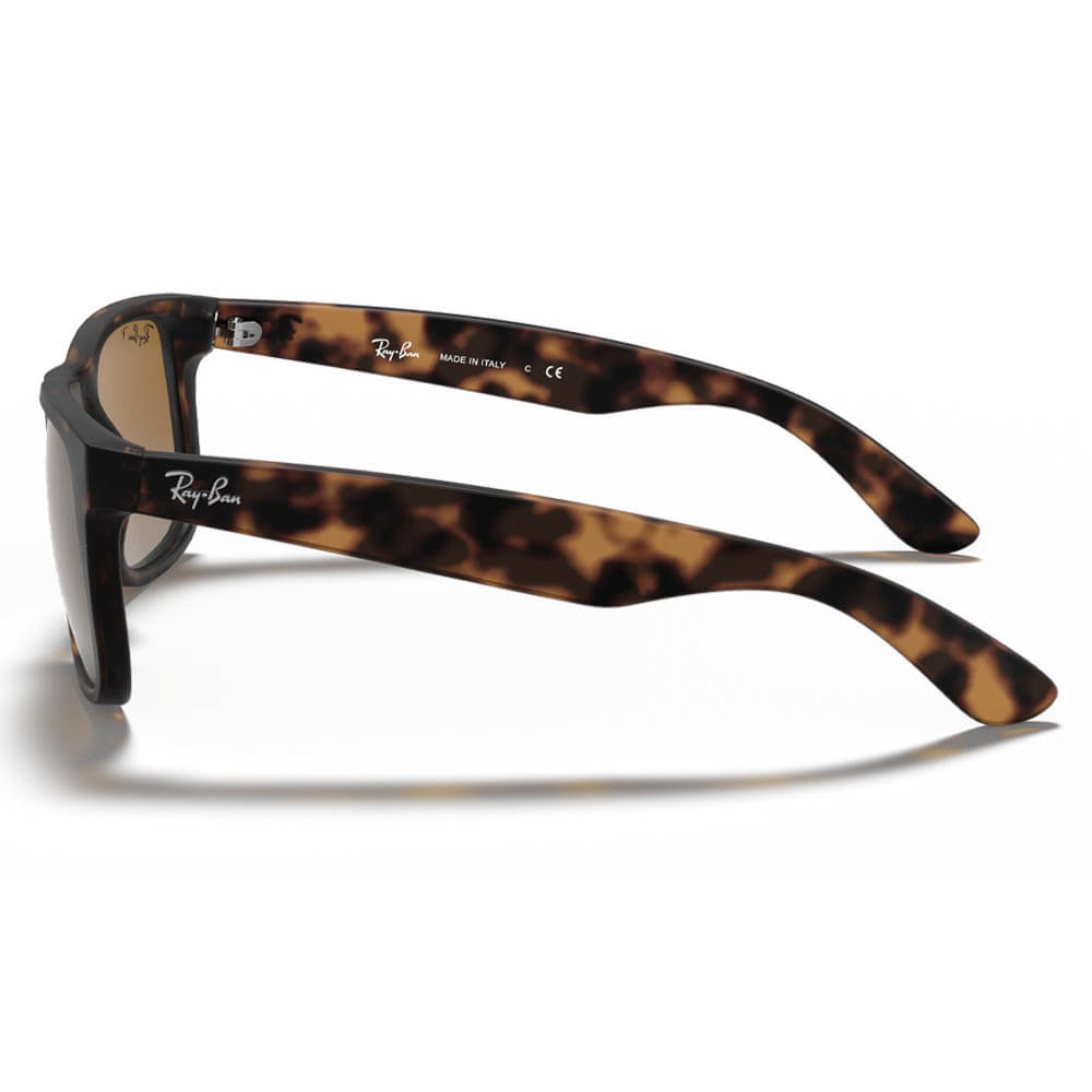 Ray-Ban Justin Classic Sunglasses