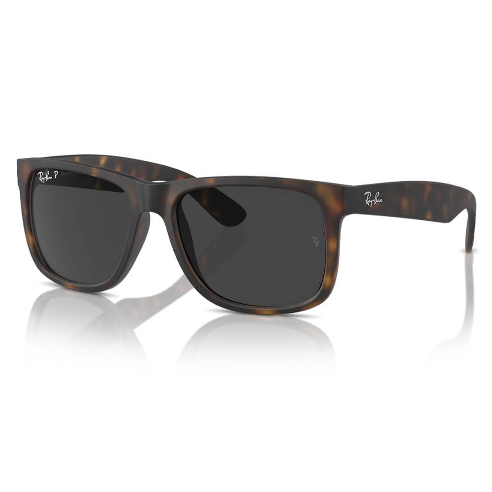 Ray-Ban Justin Classic Sunglasses