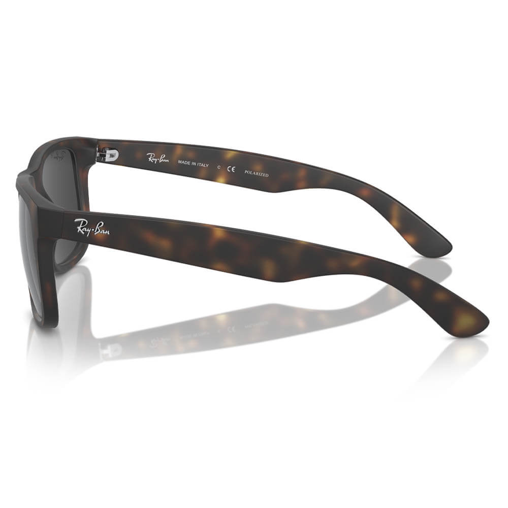 Ray-Ban Justin Classic Sunglasses