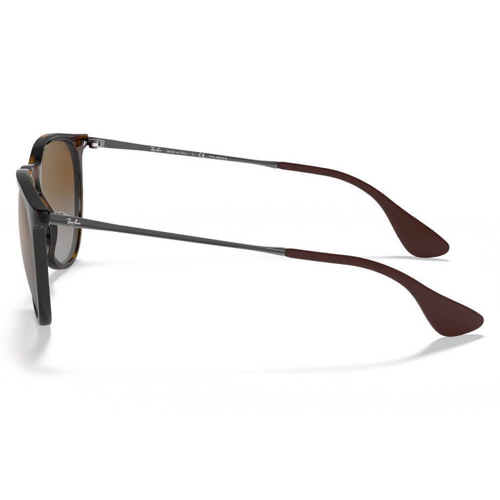 Ray-Ban Erika Classic Sunglasses
