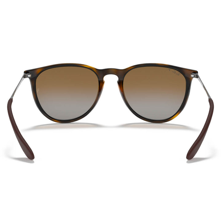 Ray-Ban Erika Classic Sunglasses