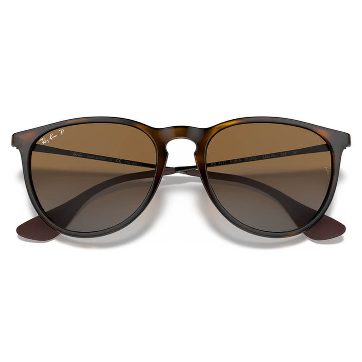 Ray-Ban Erika Classic Sunglasses