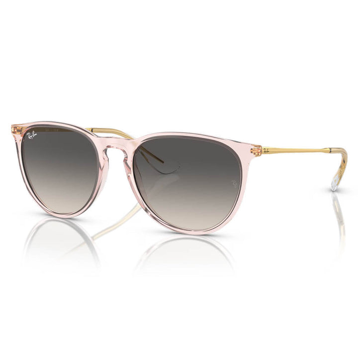 Ray-Ban Erika Classic Sunglasses