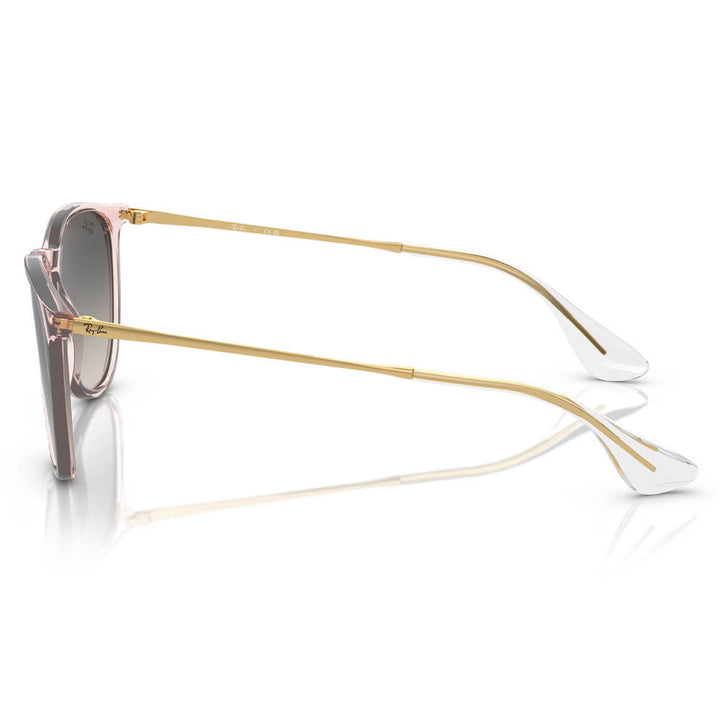 Ray-Ban Erika Classic Sunglasses
