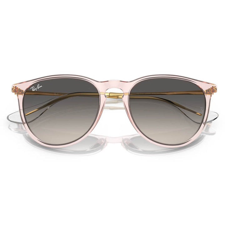 Ray-Ban Erika Classic Sunglasses