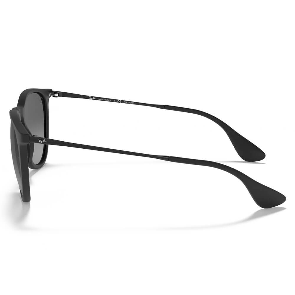 Ray-Ban Erika Color Mix Sunglasses