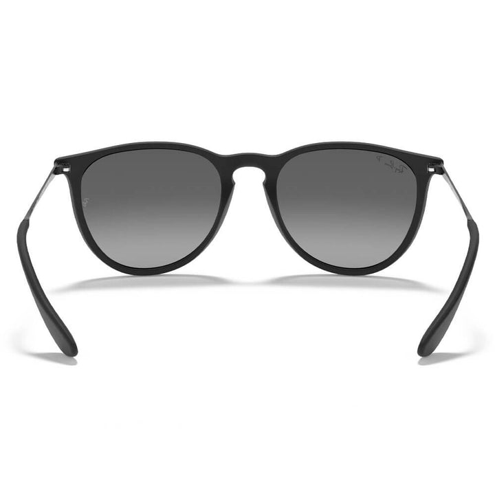 Ray-Ban Erika Color Mix Sunglasses