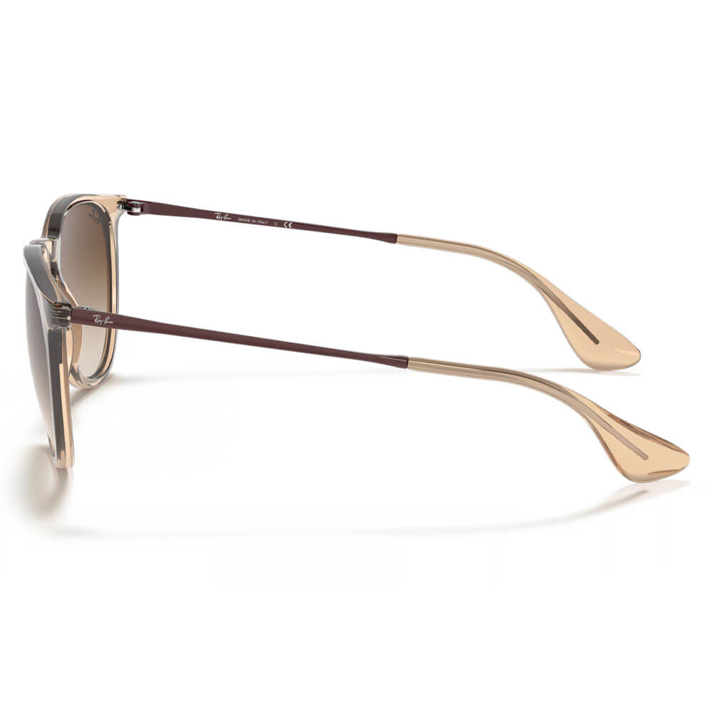 Ray-Ban Erika Color Mix Sunglasses