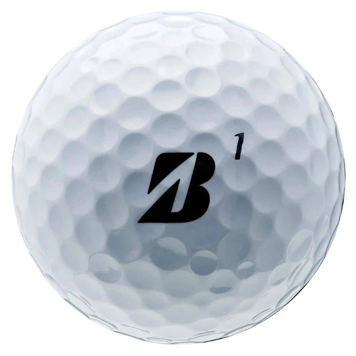 Bridgestone e6 Soft Double Dozen Golf Balls