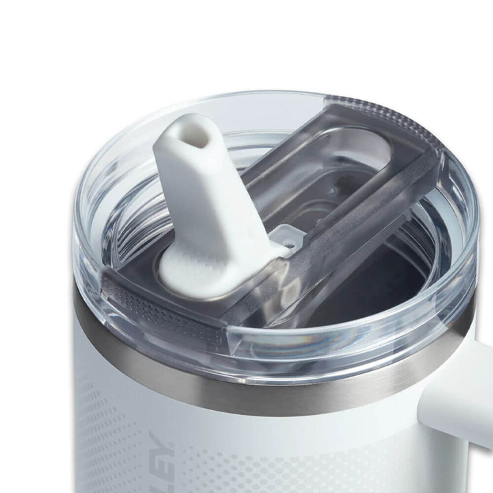 Stanley 20 oz The Quencher ProTour Flip Straw Tumbler