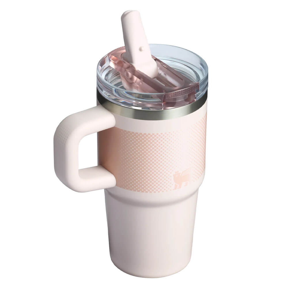 Stanley 20 oz. Quencher ProTour Flip Straw Tumbler, Frost Fade
