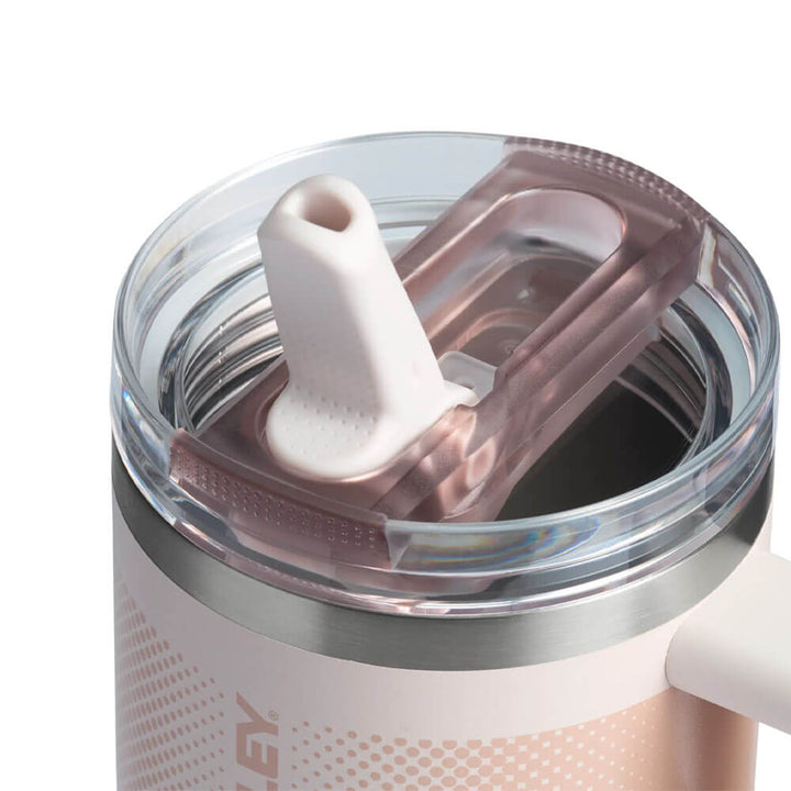 Stanley 20 oz The Quencher ProTour Flip Straw Tumbler