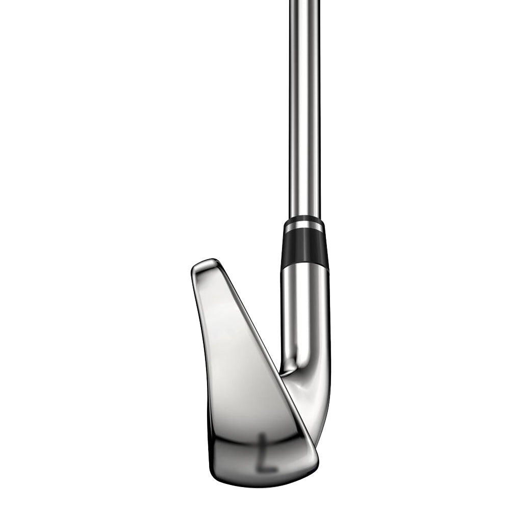 Wilson Staff D9 Iron Set 2021 Women