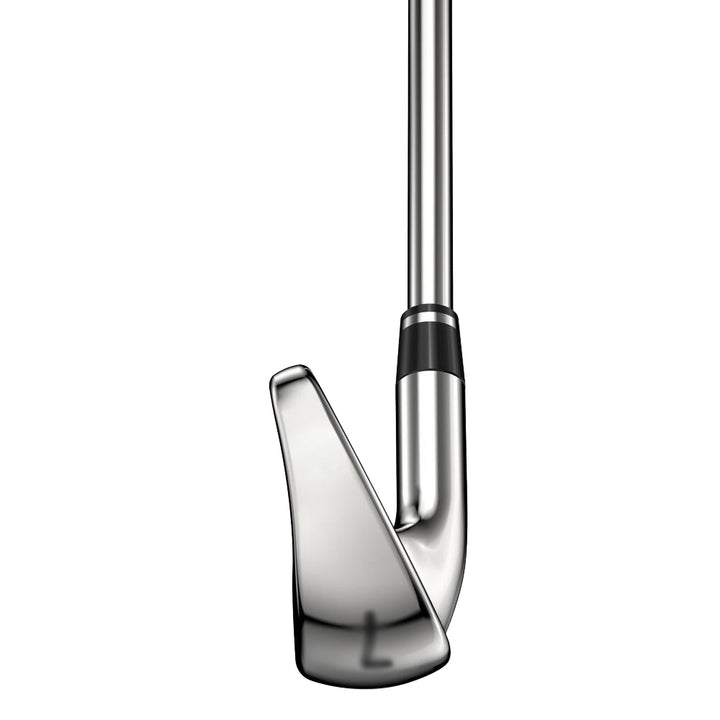 Wilson Staff D9 Iron Set 2021 Women